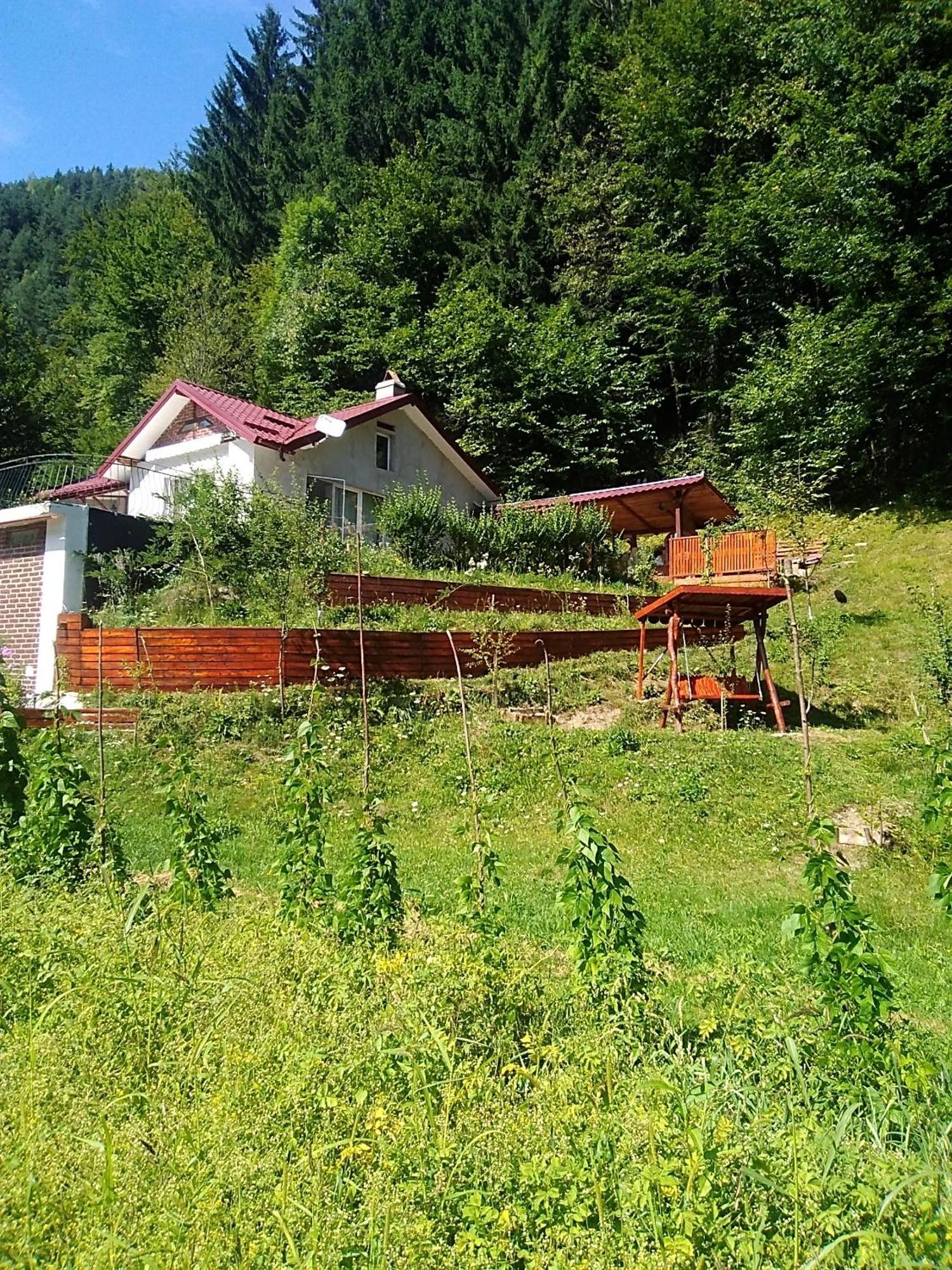 فندق Casa Ozon Vulcan  المظهر الخارجي الصورة